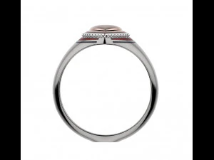 anillo 154 Modelo de impresión 3D