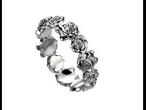 ring 155-2 3D Print Model