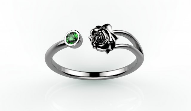 ring 155-3 3D Print Model .c4d .max .obj .3ds .fbx .stl .blend 