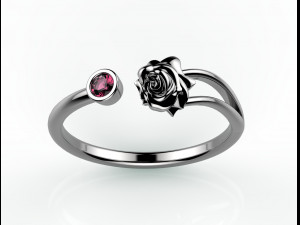 ring 155-3 3D Print Model