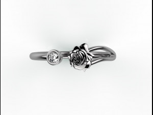 ring 155-3 3D Print Model
