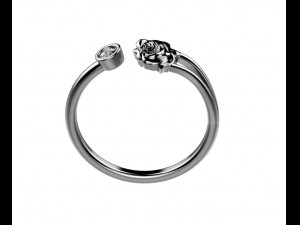 ring 155-3 3D Print Model