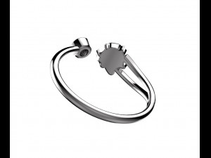 ring 155-3 3D Print Model
