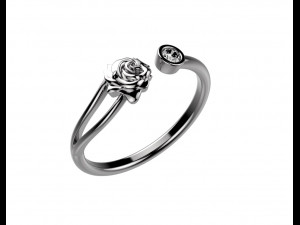 ring 155-3 3D Print Model