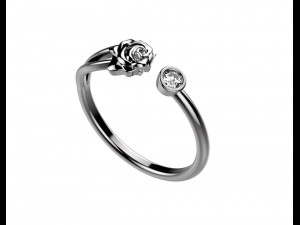 ring 155-3 3D Print Model
