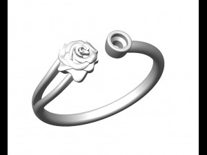 ring 155-3 3D Print Model