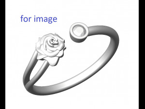ring 155-3 3D Print Model