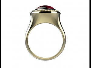 Ring 163 3D Print Model