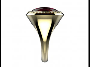 Ring 163 3D Print Model