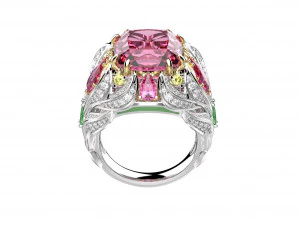 Anel 162-1-1 Modelo de Impressão 3D