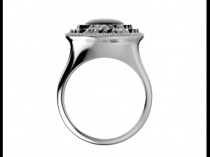 Ring 164 3D Принт Модель