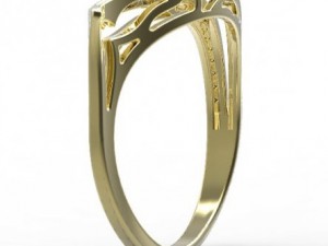 gold ring 29 3D Model