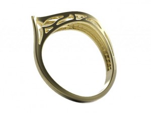 gold ring 29 3D Model