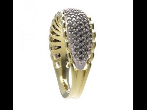 ring 45 Model 3D