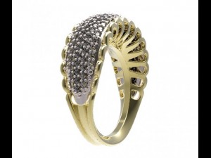 ring 45 Model 3D