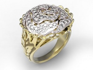 ring 44 3D Model