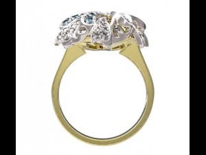 ring 46 3D Print Model