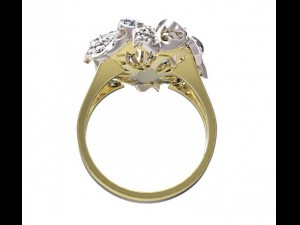 ring 46 3D-printmodel