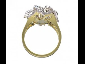 ring 46 3D Print Model