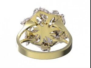 ring 46 3D Print Model