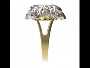 ring 46 3D-printmodel
