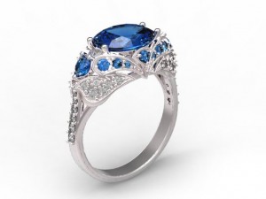 rings 47 3D Print Model