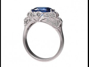 ring  48 3D Baskı Modeli