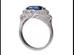 pierścień 48 Model do druku 3D