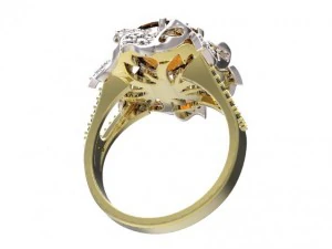 ring 49 3D Print Model