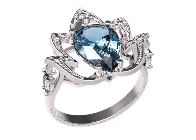 ring  51 3Dプリントモデル .c4d .max .obj .3ds .fbx .stl .blend 