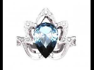 ring  51 3Dプリントモデル