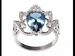 ring  51 3D Print Model