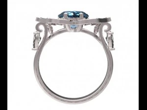 ring  51 3D Print Model