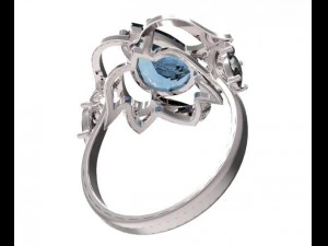 ring  51 3D Print Model