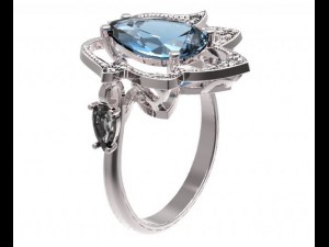 ring  51 3Dプリントモデル