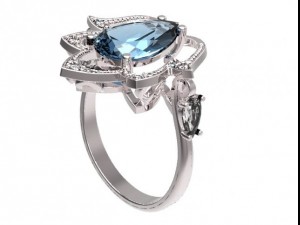 ring  51 3Dプリントモデル