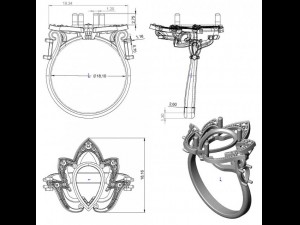 ring  51 3Dプリントモデル