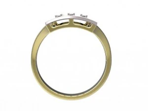 ring  53 3D Print Model