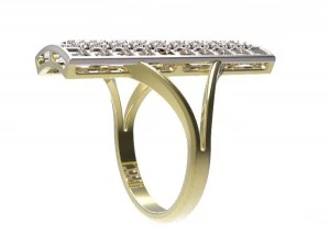 ring  53 3D Print Model