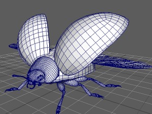 black beetle 3D 모델