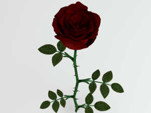 rose red Modèle 3D