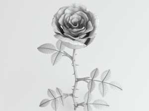 rose red Modelo 3D