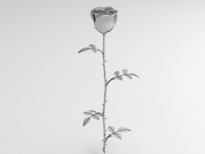 rose red Modelo 3D