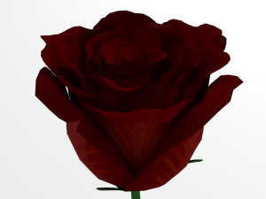 rose red Modelo 3D