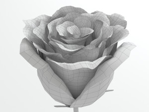 rose red Modelo 3D