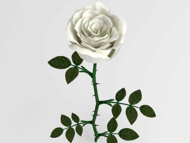 rose white 3Dモデル .c4d .max .obj .3ds .fbx .stl .blend 