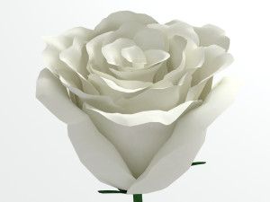 rose white 3Dモデル