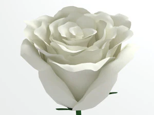 rose white 3D Model