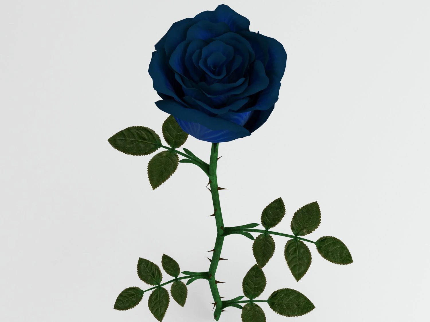 rose blue 3D Model .c4d .max .obj .3ds .fbx .stl .blend 