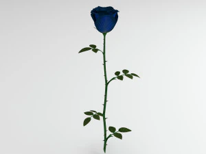 rose blue 3D Model